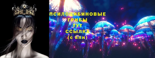 гидра Михайловка