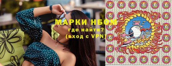 гидра Михайловка