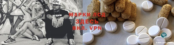 гидра Михайловка