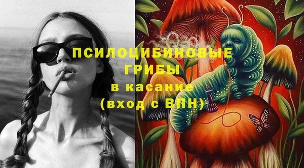 гидра Михайловка