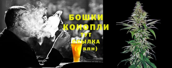 гидра Михайловка