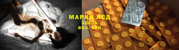 гидра Михайловка