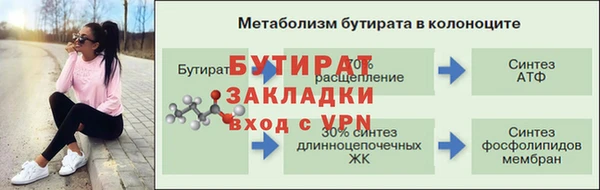 гидра Михайловка