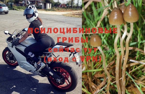 MESCALINE Михайловск