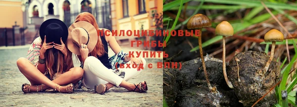 молекула духа Медногорск