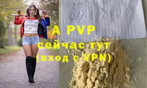 гидра Михайловка