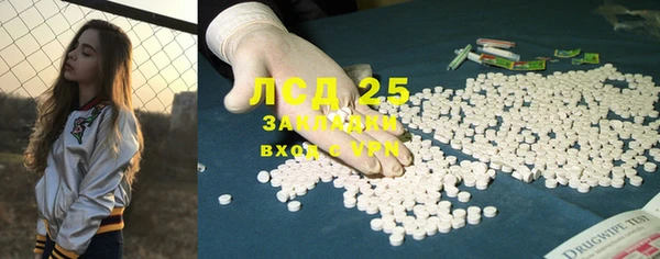 гидра Михайловка