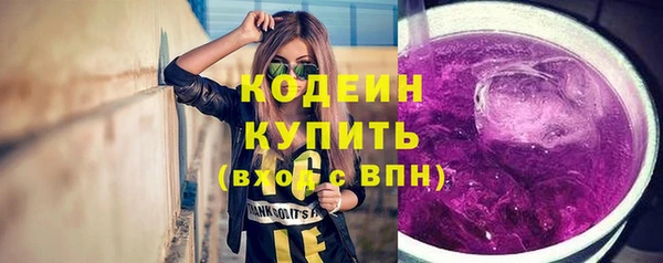 гидра Михайловка