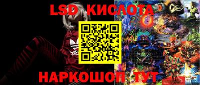прущие грибы Волжский