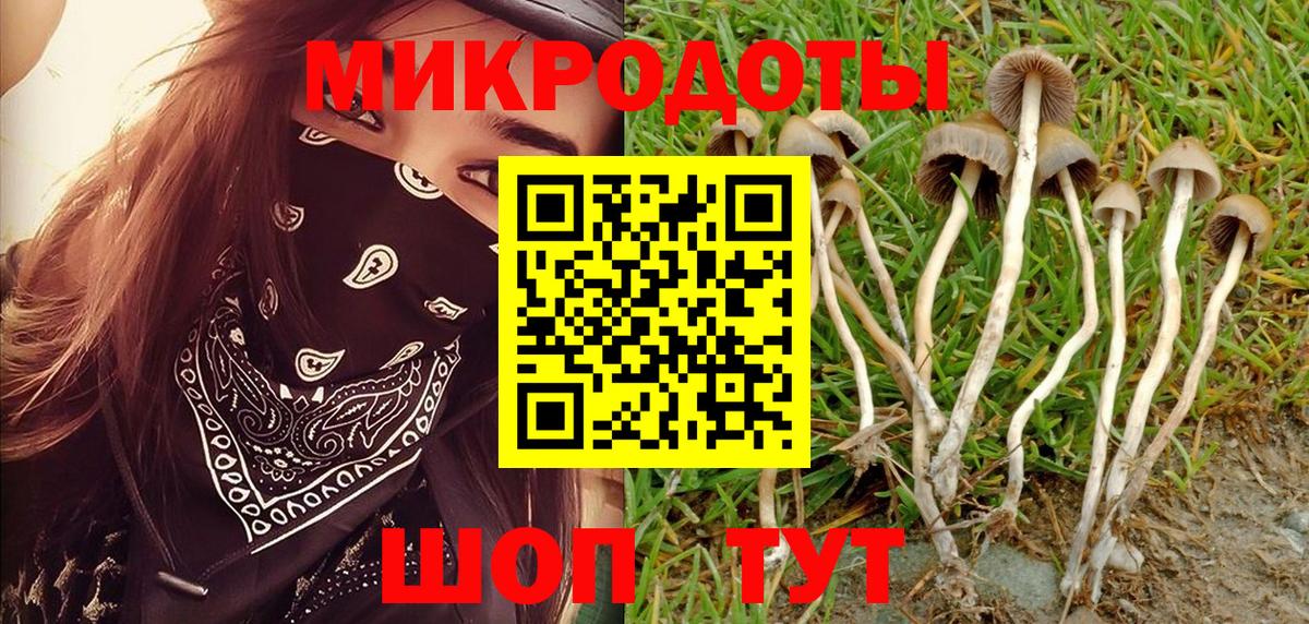 где купить наркоту  Вход с VPN  Зерноград  Галлюциногенные грибы Magic Shrooms 